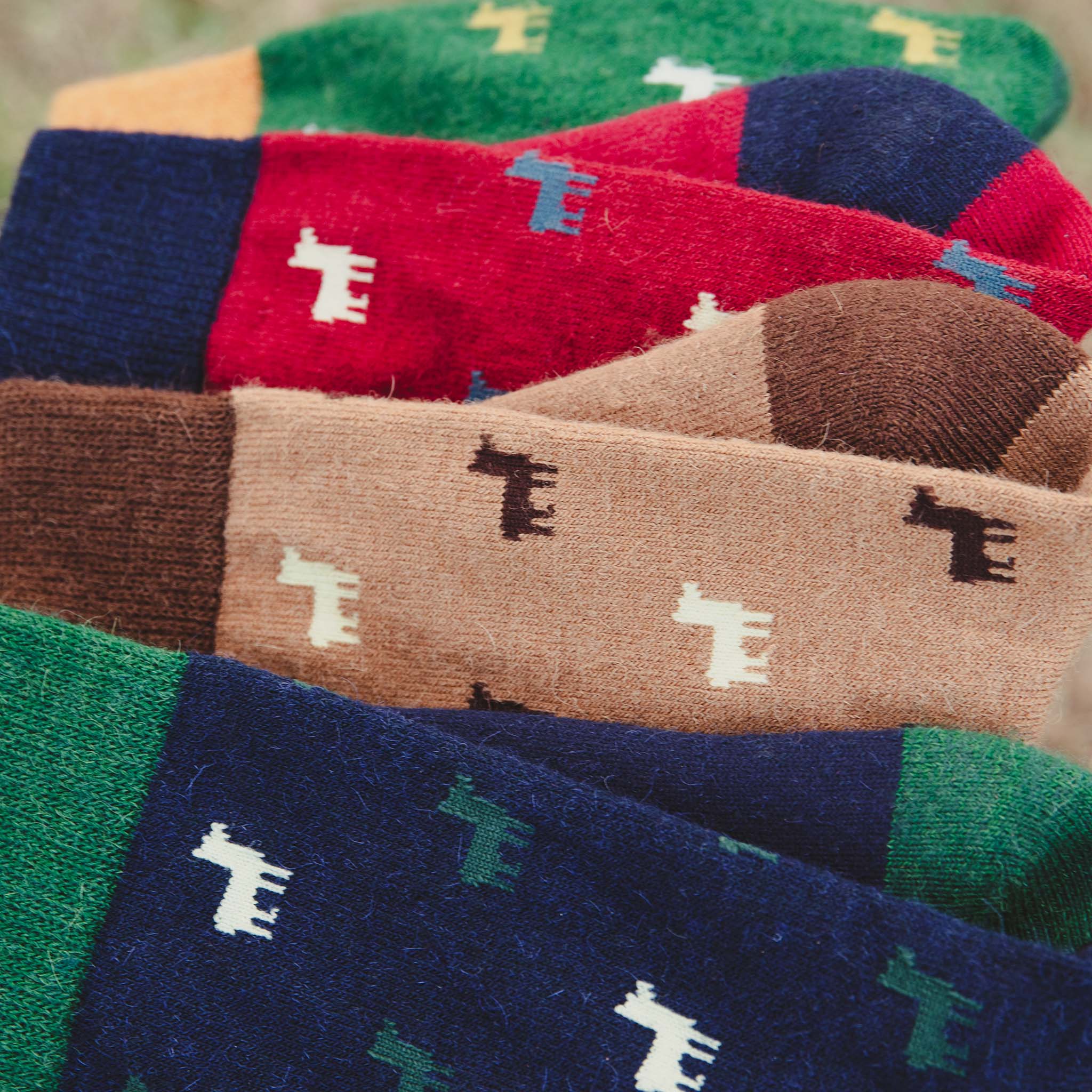 Modische Farbvielfalt der Socken mit Alpaka Motiv